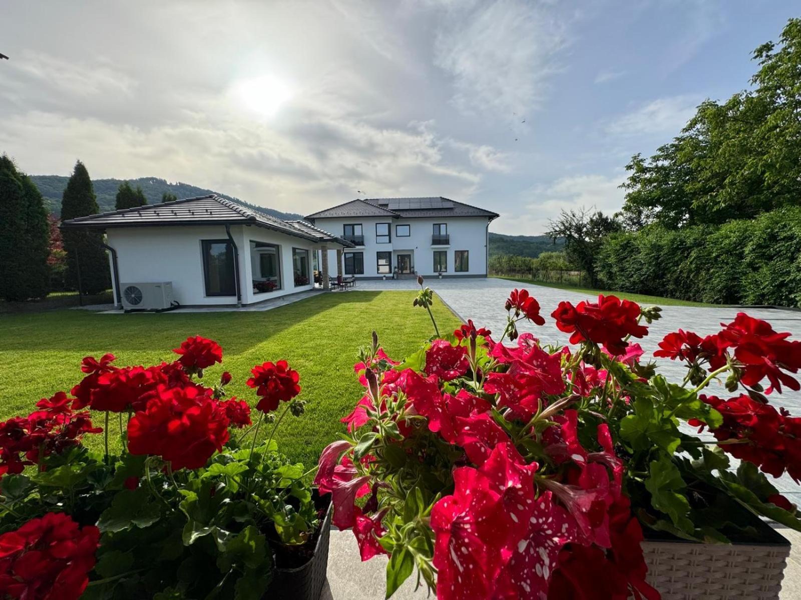 Vila Diamond Lux&Spa Sovata Exterior foto
